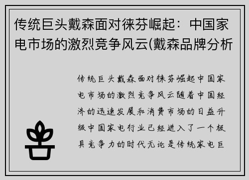 传统巨头戴森面对徕芬崛起：中国家电市场的激烈竞争风云(戴森品牌分析)