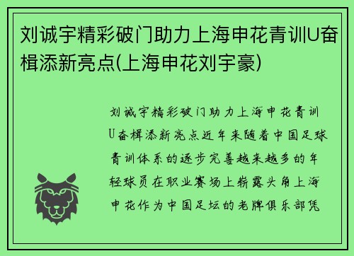 刘诚宇精彩破门助力上海申花青训U奋楫添新亮点(上海申花刘宇豪)